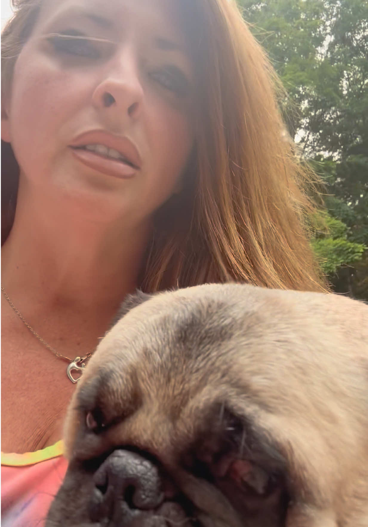 @PEARL - Quadruple-Amputee Pug