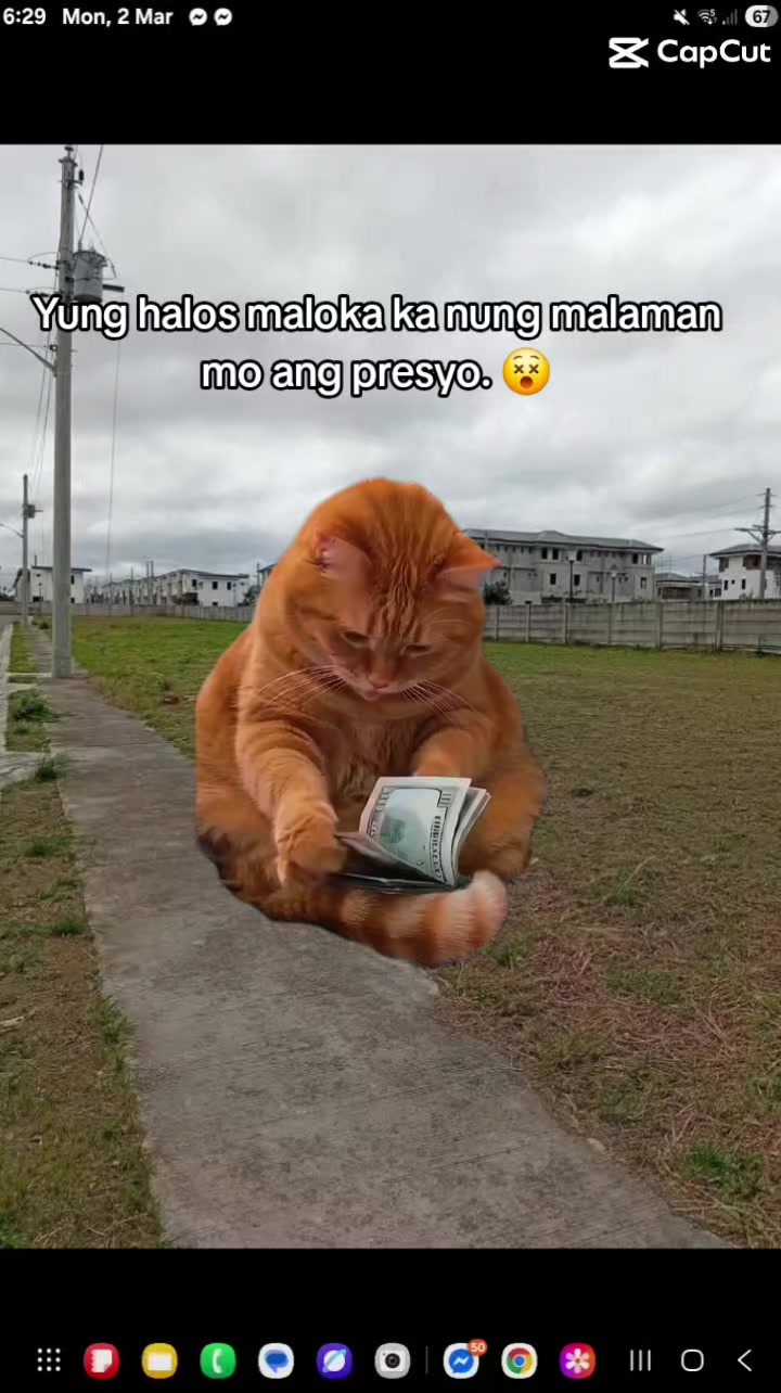 @shulalim