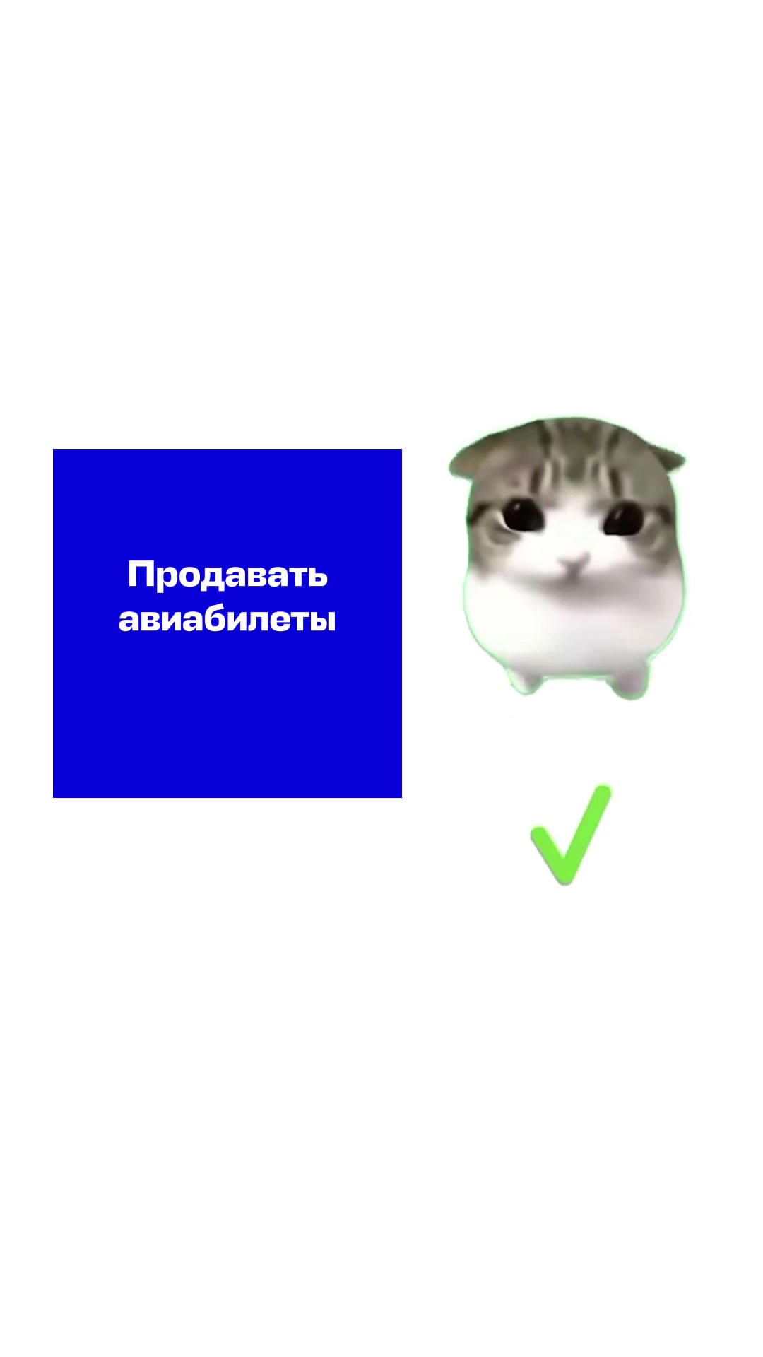 @Aviasales Беларусь