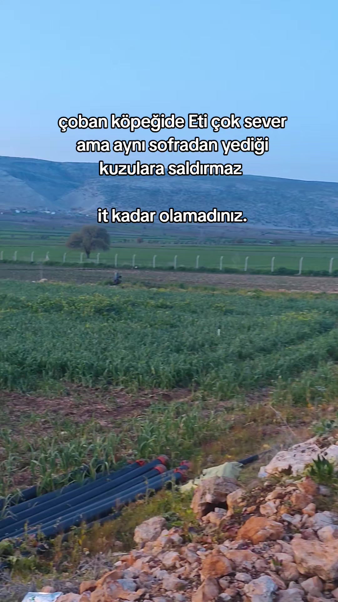 @🚜 &Ccedil;ift&ccedil;i Rotası 🌱