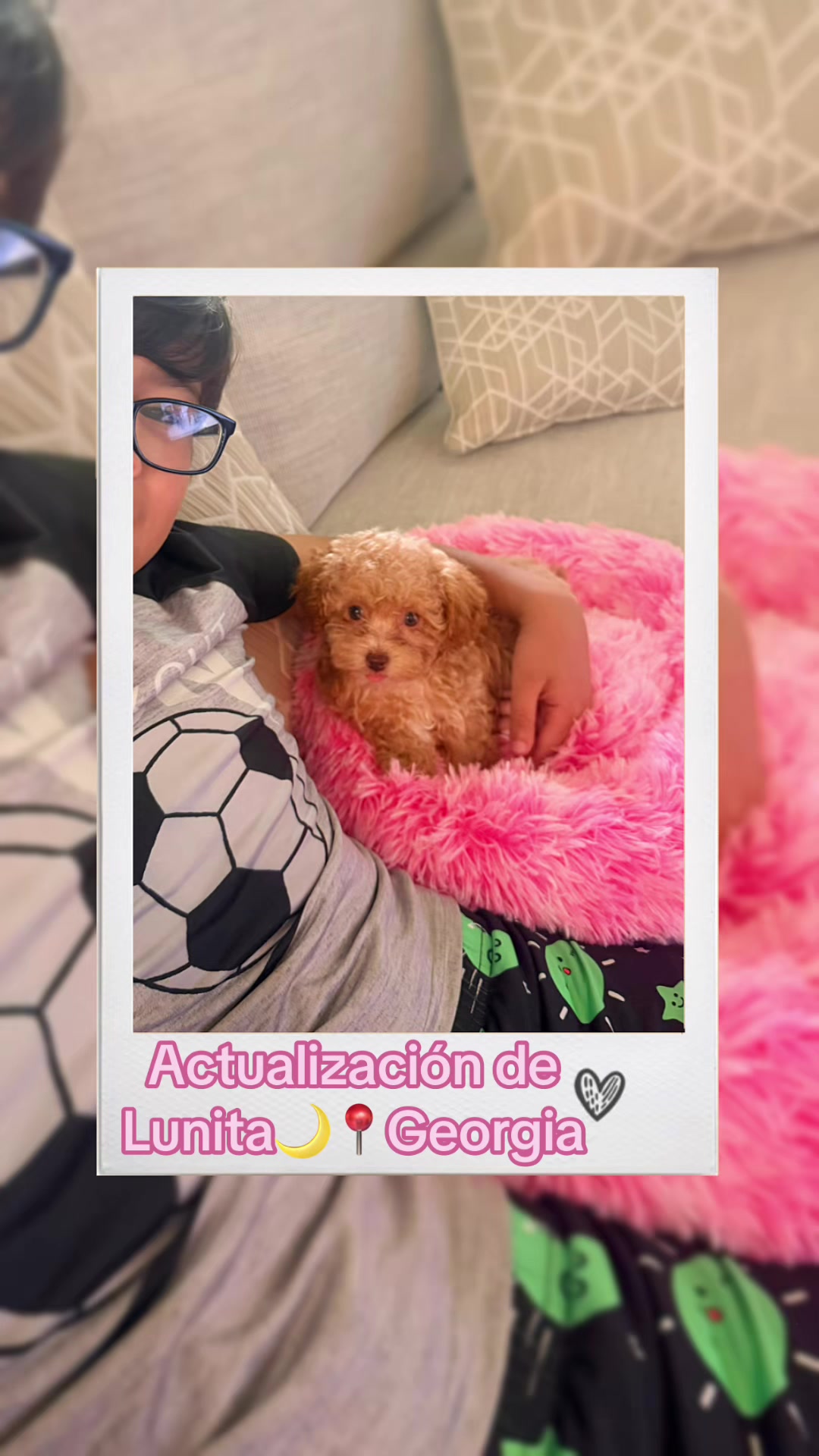 @A.PAWS🐕🐾