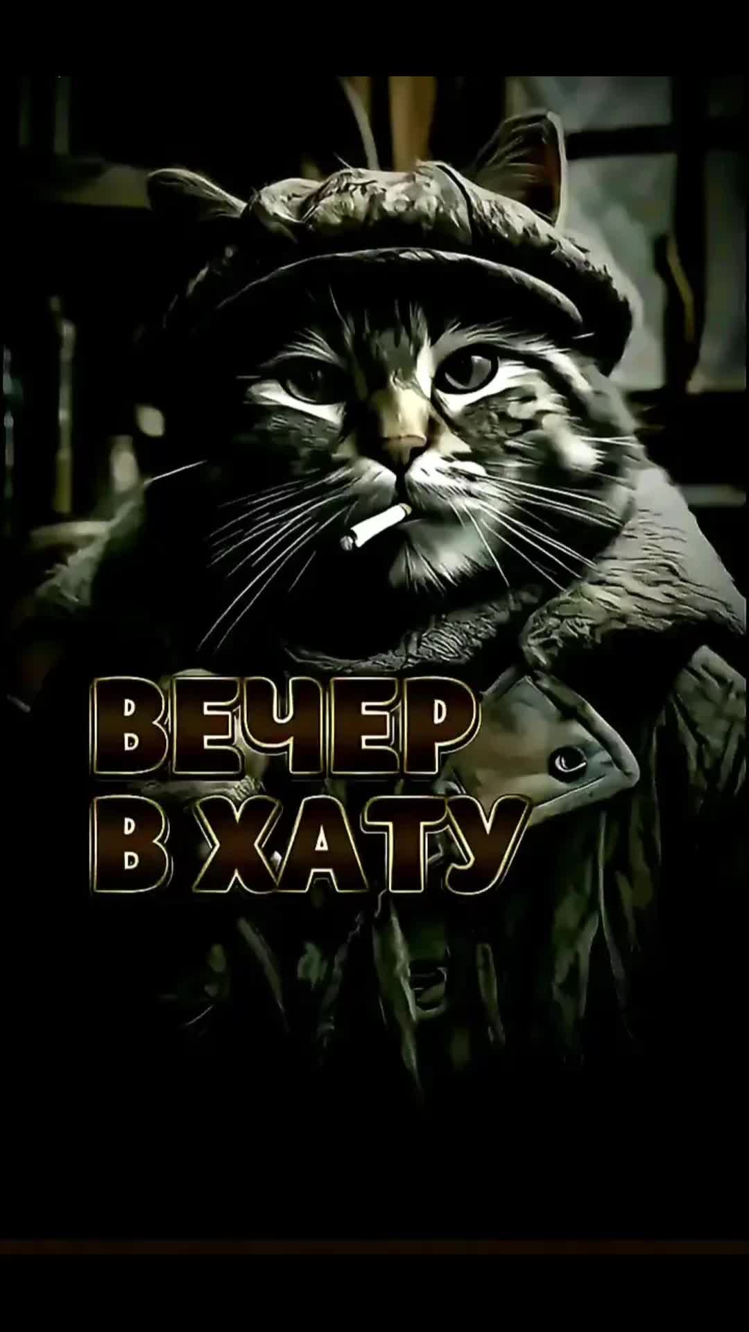 @Black_lion