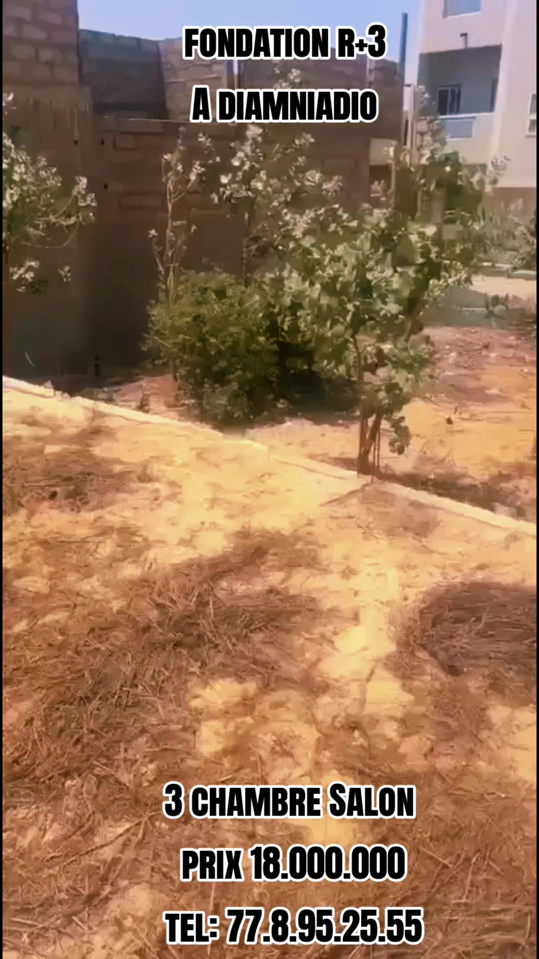 @Sénégal dakar habitat 🇸🇳