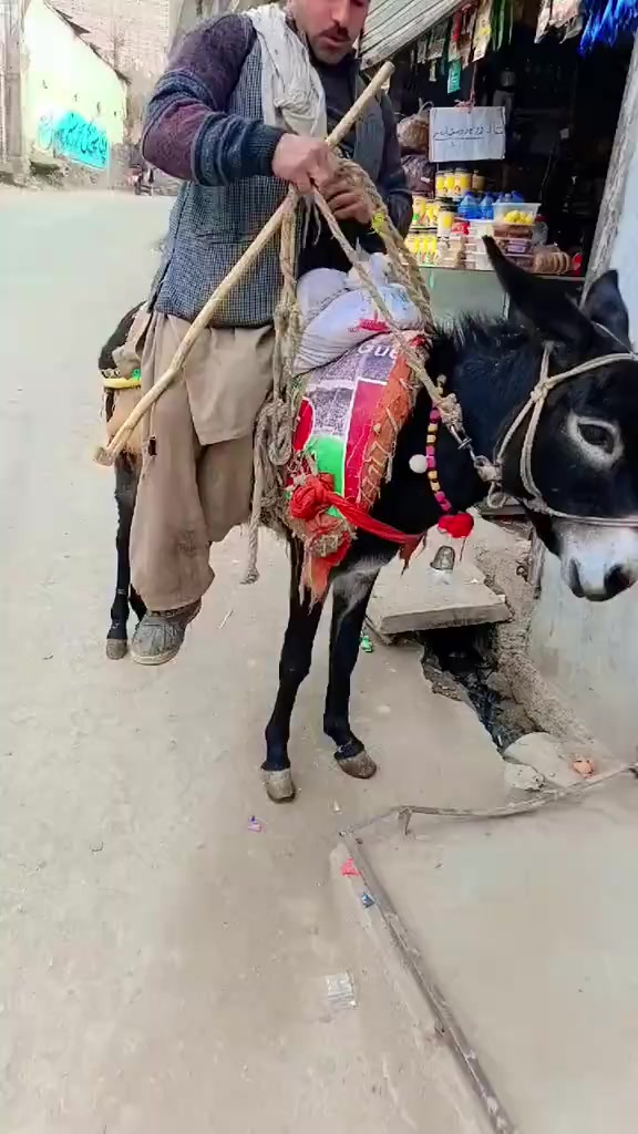 @منہاج عمر اکوخیل
