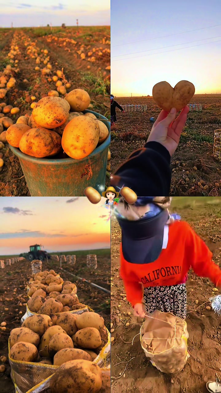 @★𝐴𝐿𝐸𝑌𝑁𝐴★