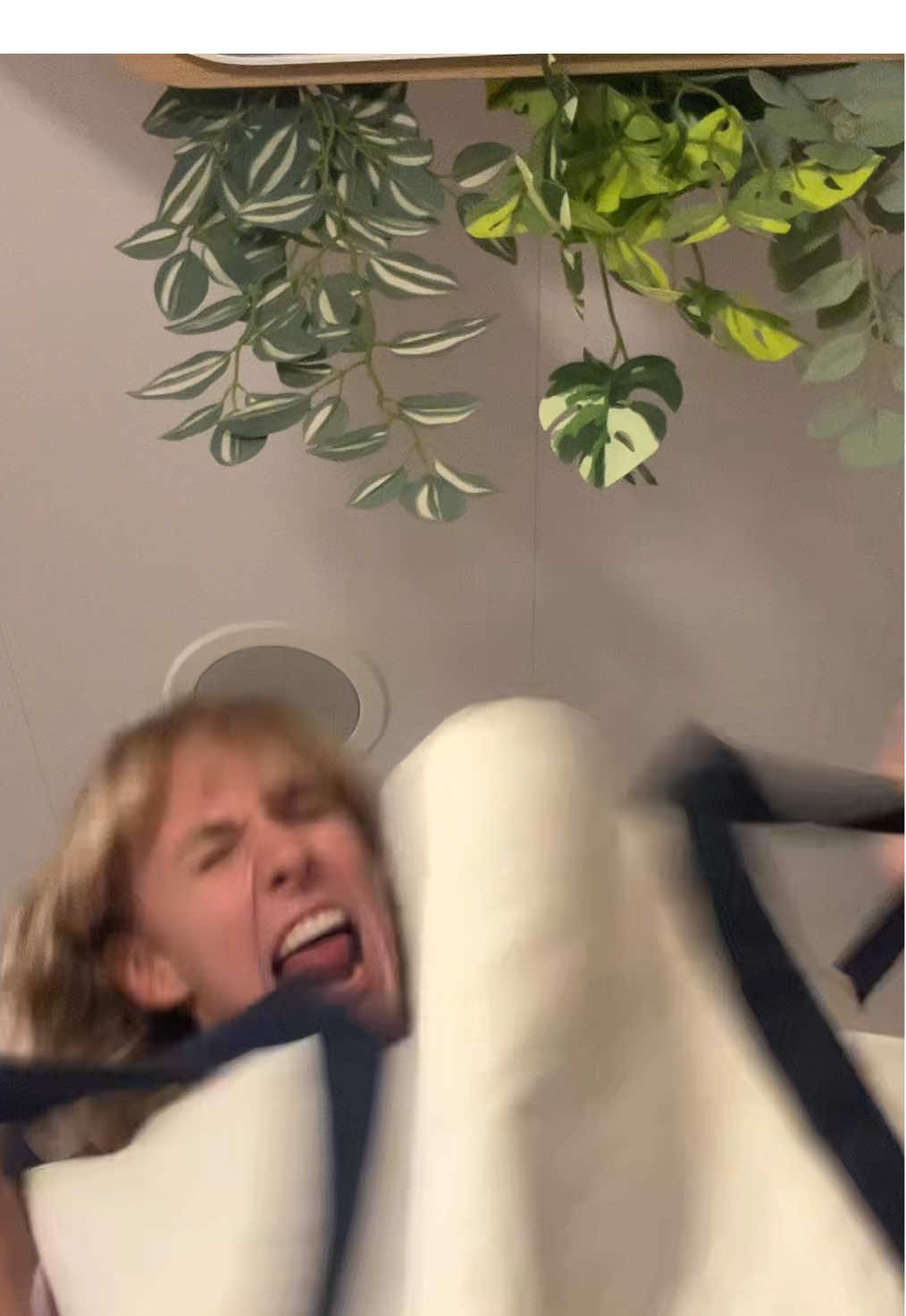 @mlecarpenter