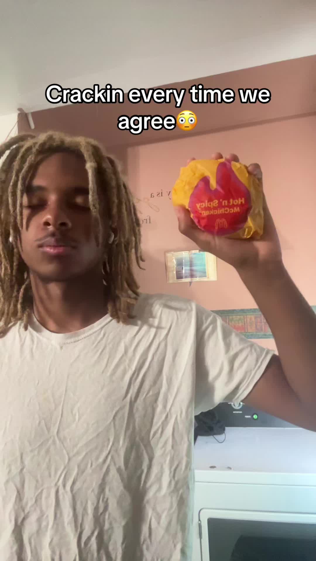 @ohbabyilovemcchickens