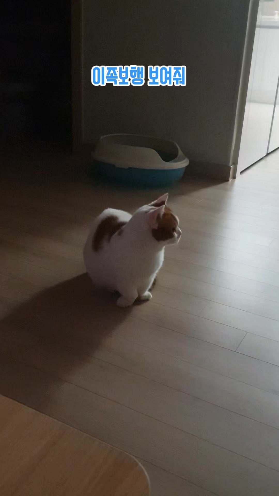 @이폭간