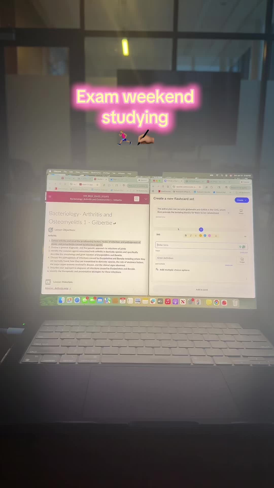 @Brandon | Vet Student 🩺