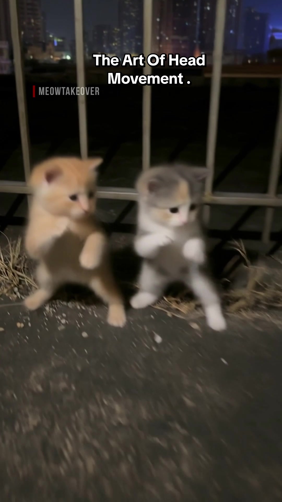 @meowtakeover
