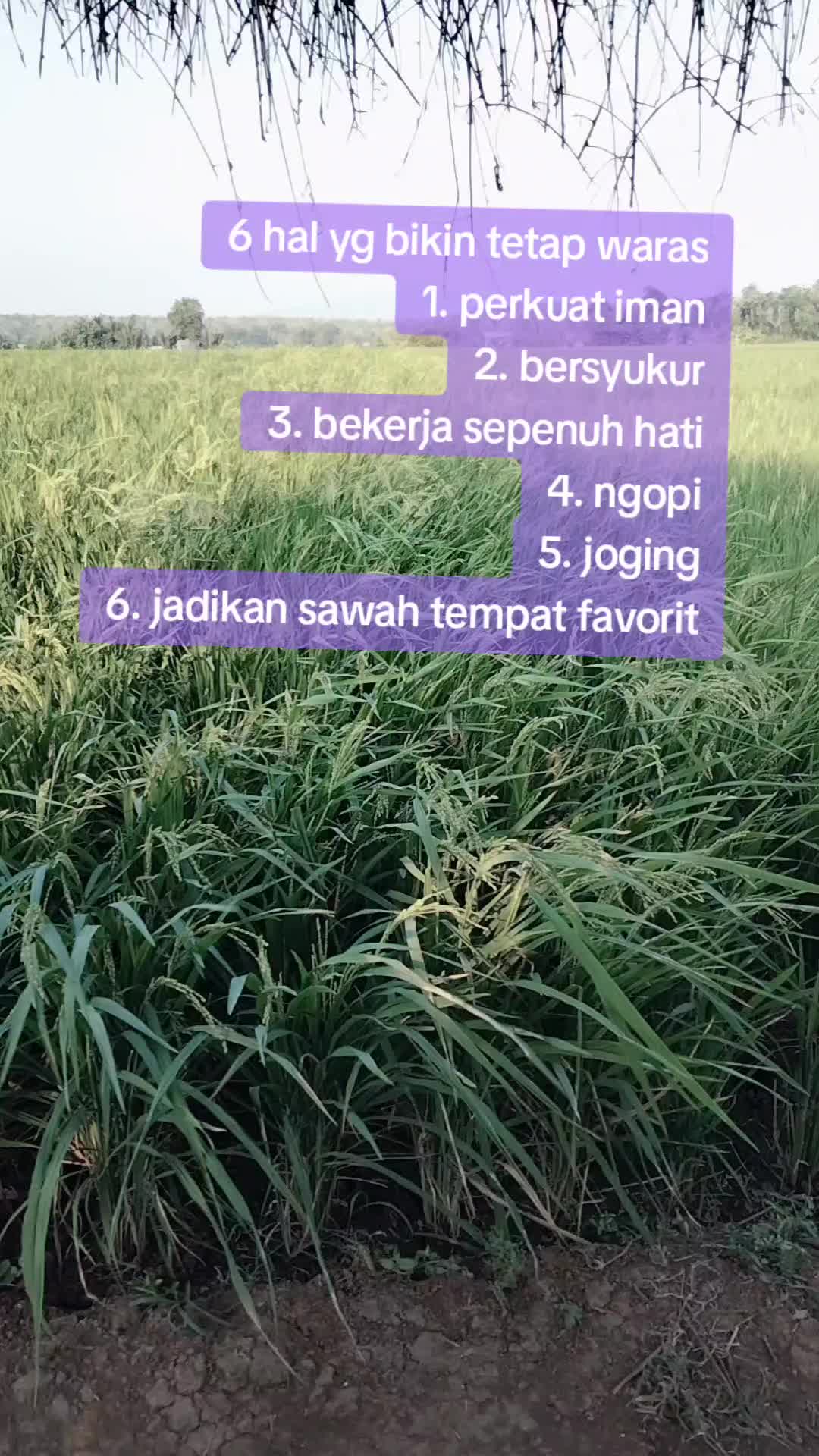 @Amilia Indriyanti