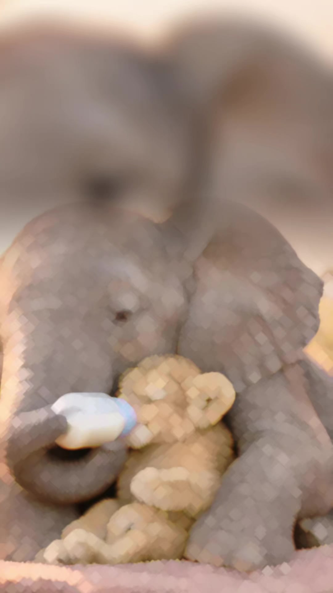 @Pamela Pam
