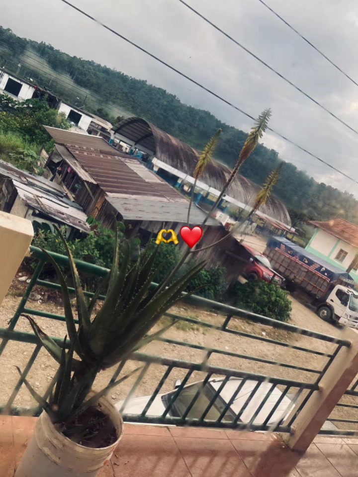 @Angoasho ❤️