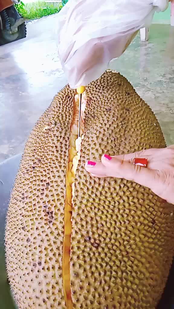 @Saraswoti Bhusal
