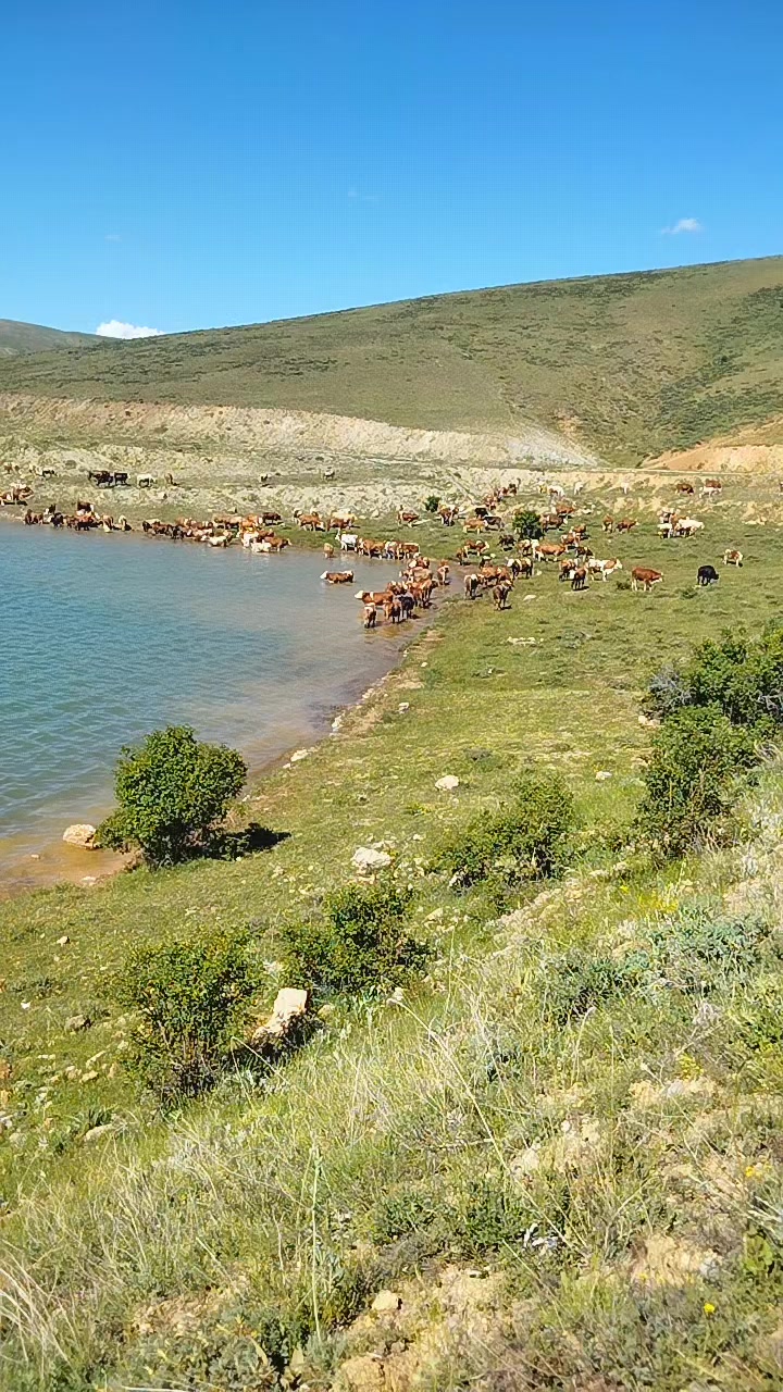 @Orhan Kaya