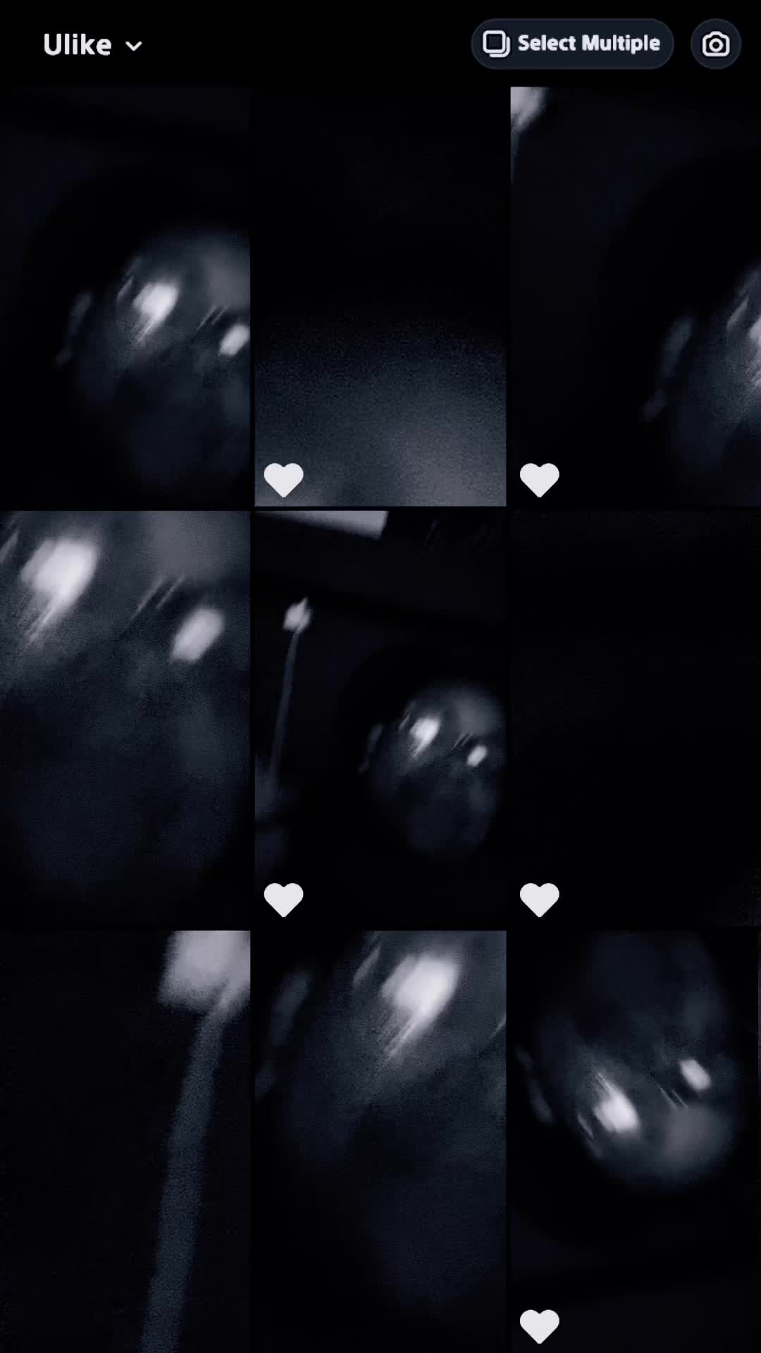 @Katy Rodriguez8245