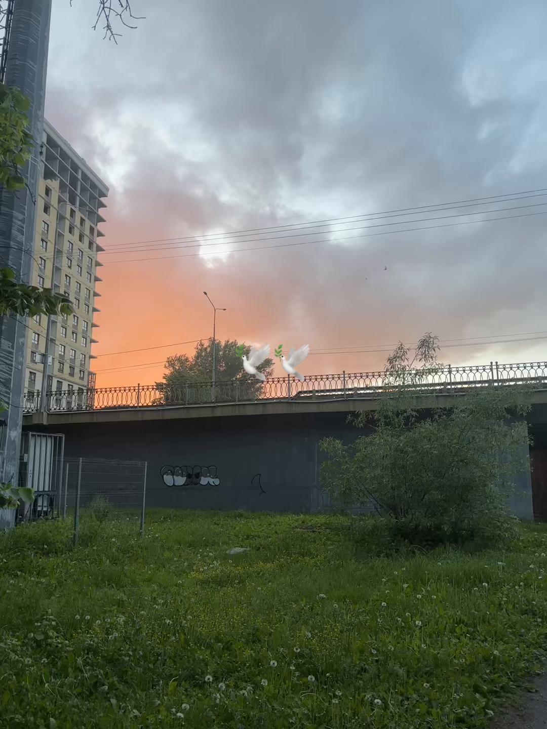 @поля