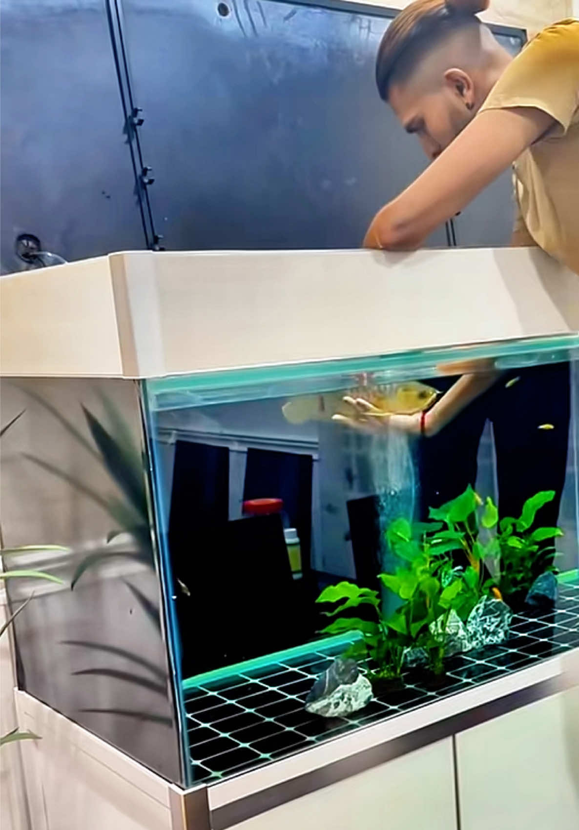 @MK AROWANA SPECIALIST