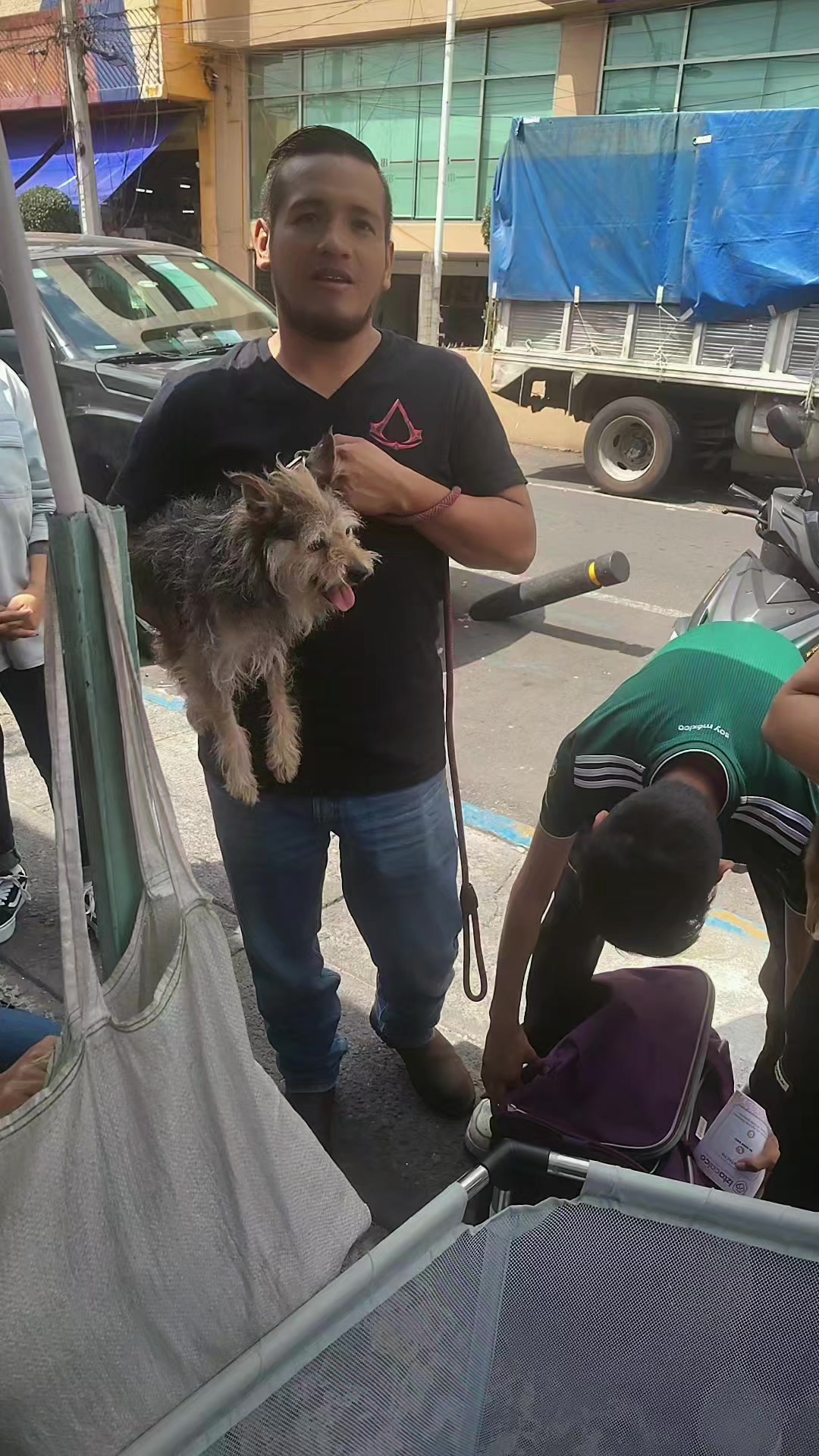 @rescate de perros guapos 😚