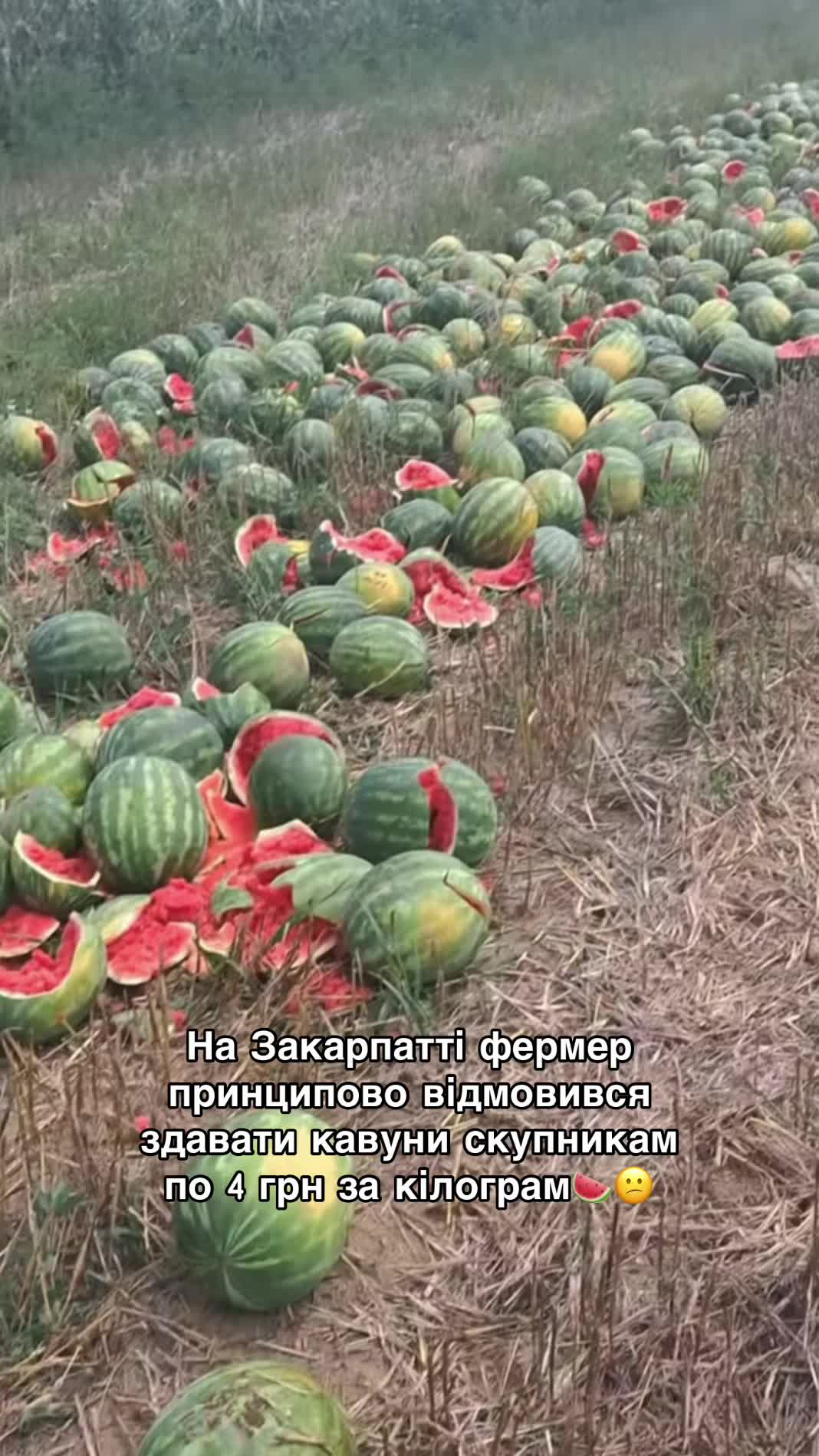 @Volynblog | Луцьк | Ковель