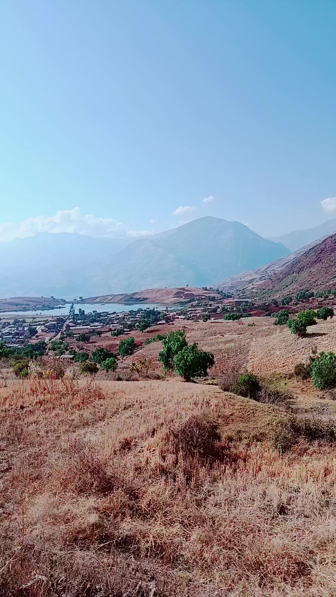 @Alexandra alanya