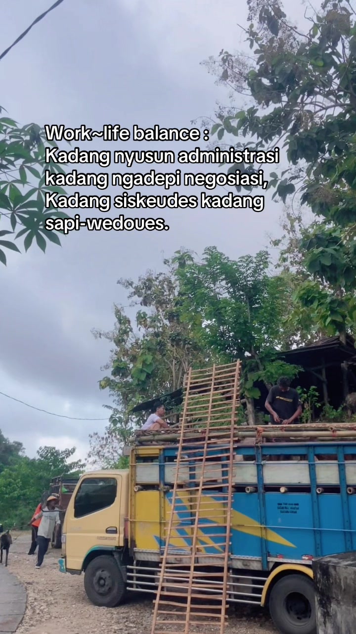 @Reni Ta