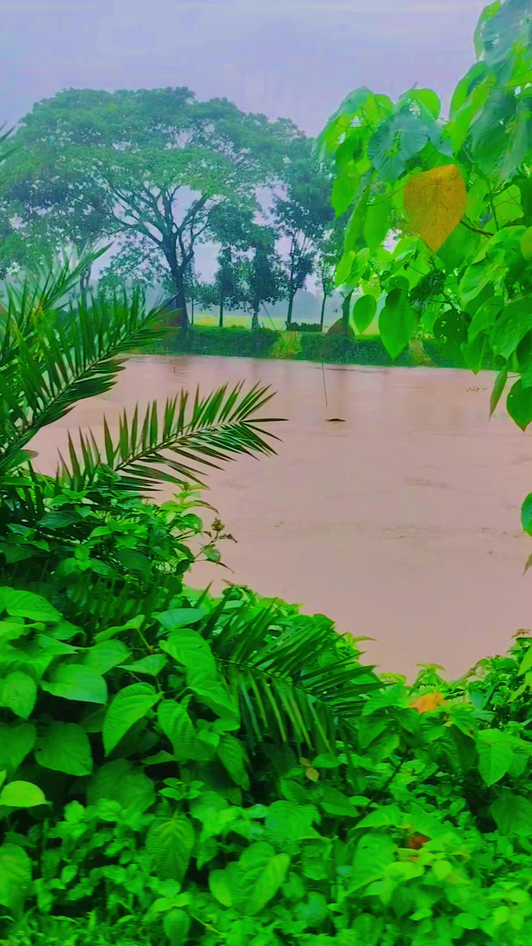 @❤️❤️❤️লিজা মনি❤️❤️❤️