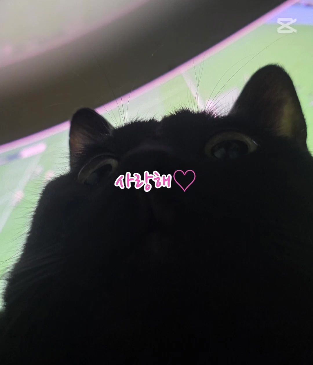 @글씨가 안 보이는 푸🧸