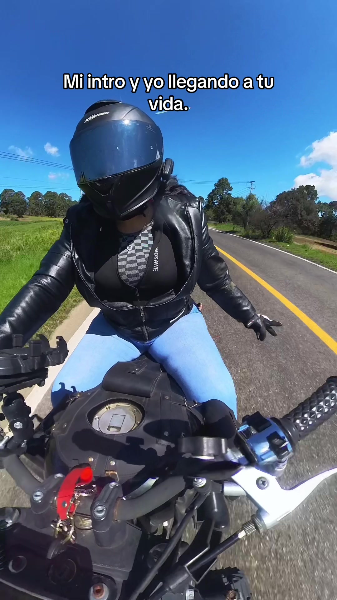 @Lady Rider