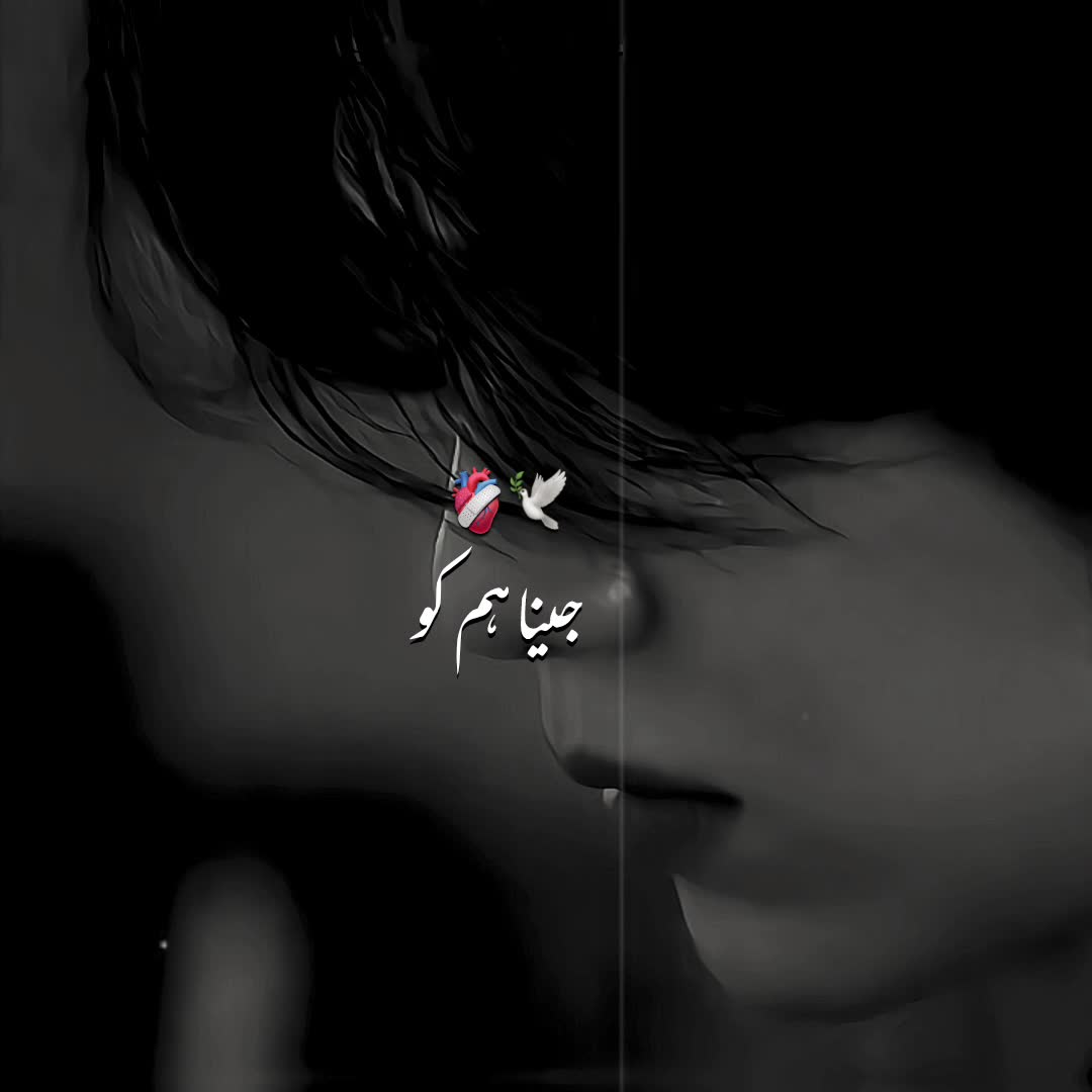 @โ.๐ ฬ๐๐โ ๐โ๐ธ๐๐ผ๐ผ๐ ๐งธเฝฒเพ