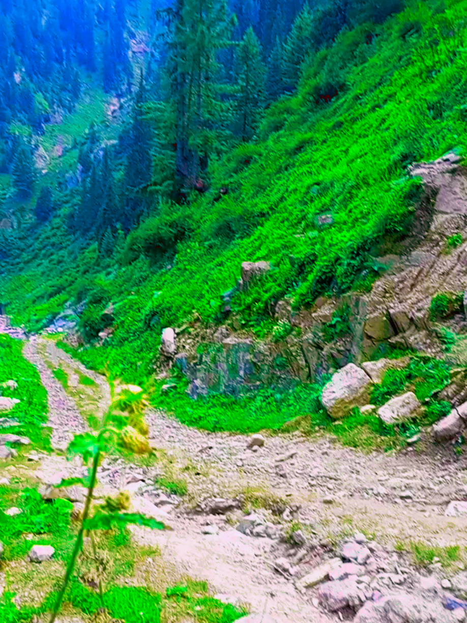 @abdullahkhan