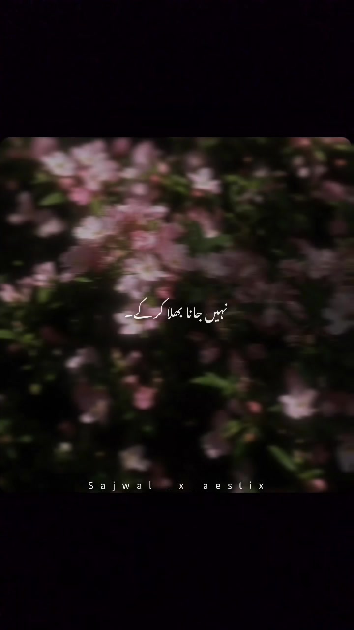 @𝑺𝒂𝒋𝒘𝒂𝒍_𝒙_𝒂𝒆𝒔𝒕𝒊𝒙♛