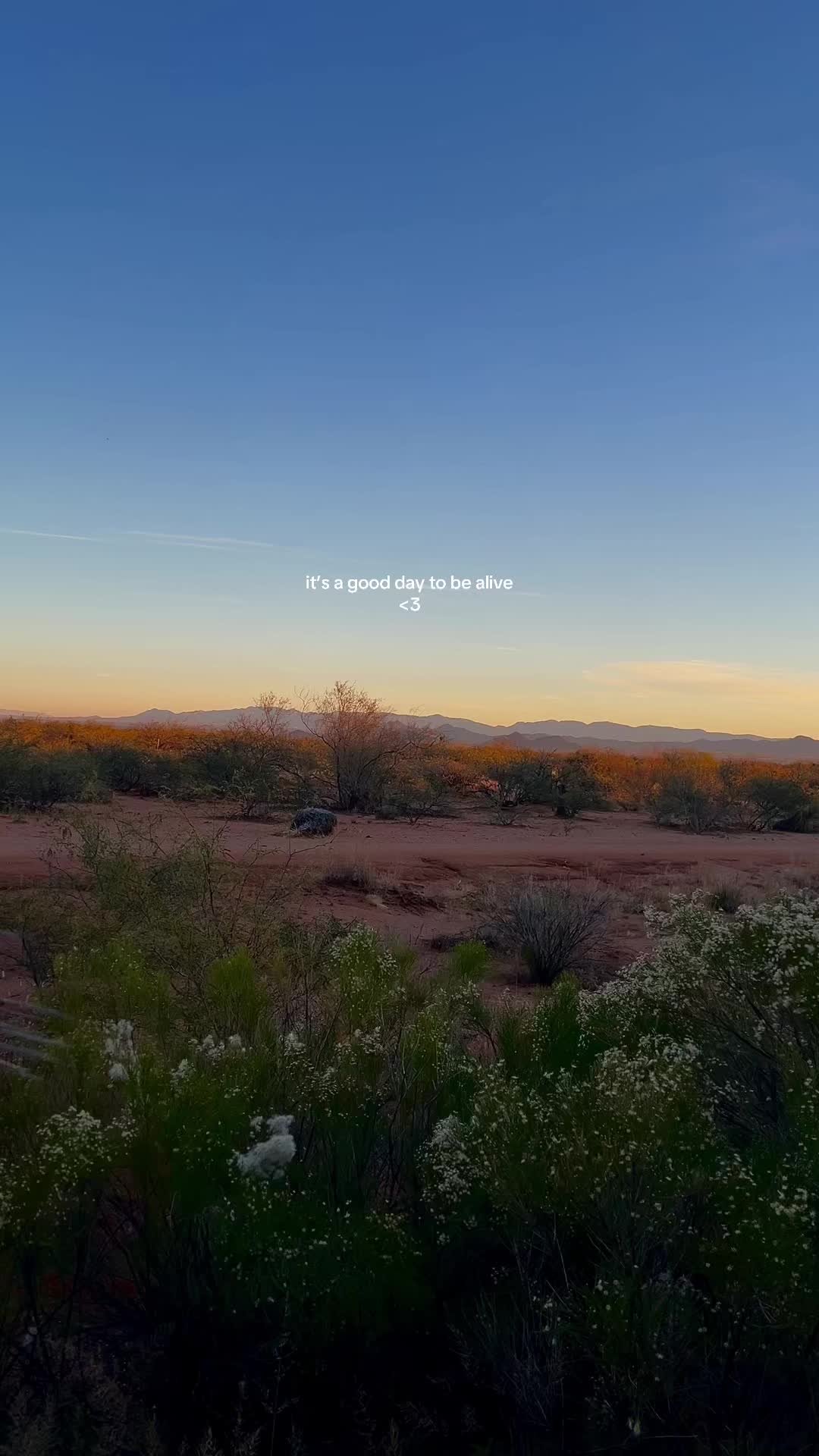 @amaradevine24