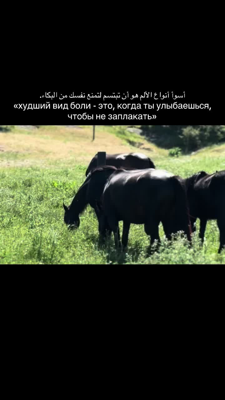 @gsnva