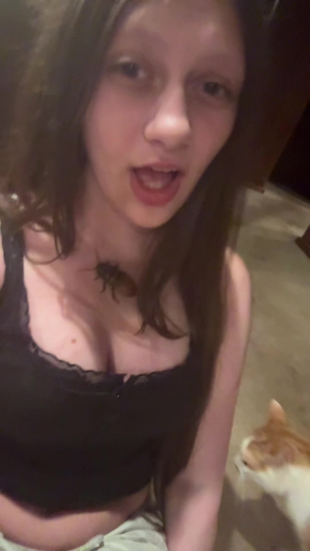 @touchmaster5000