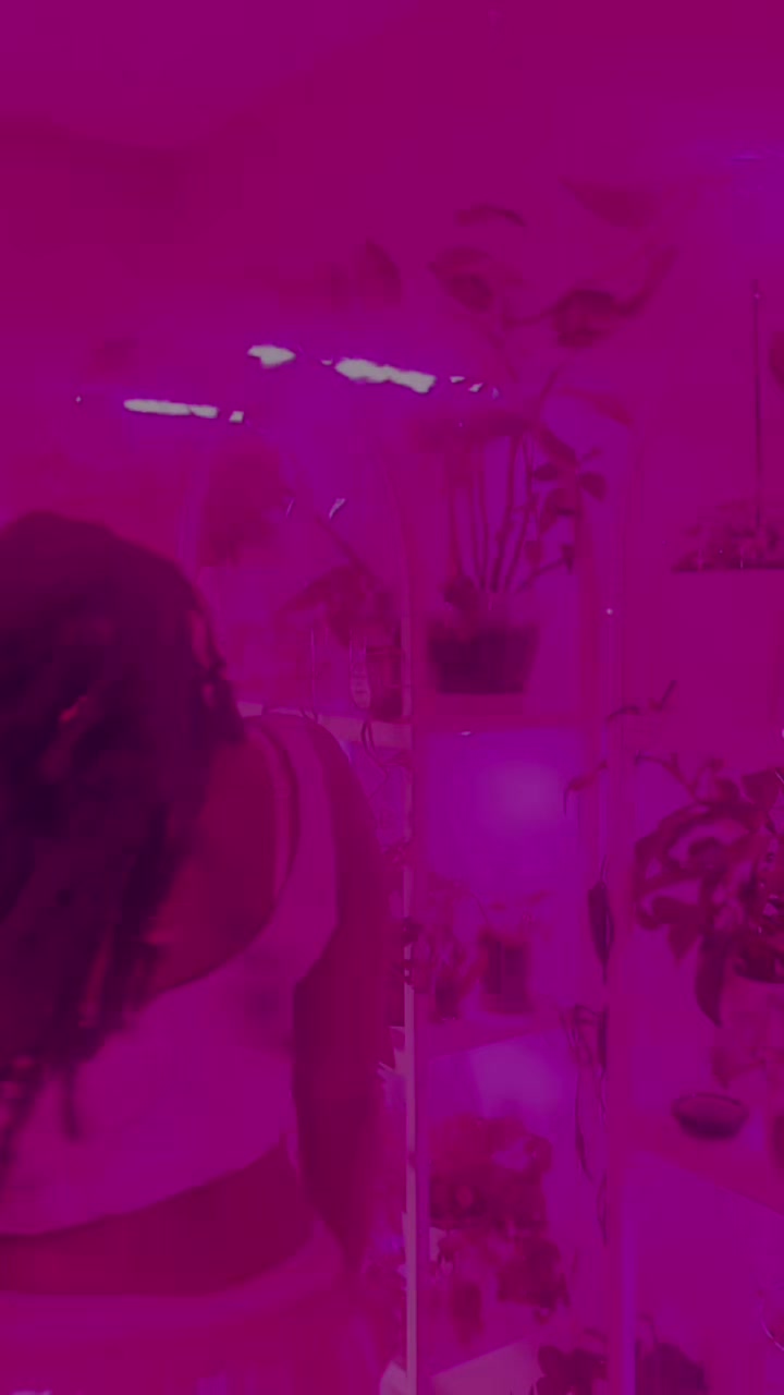 @👁️Dream