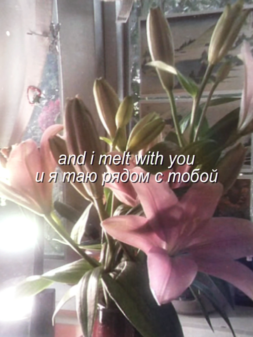 @'.𝙚́𝙪𝙥𝙝𝙤𝙧𝙞𝙖`🪷 ˎˊ˗