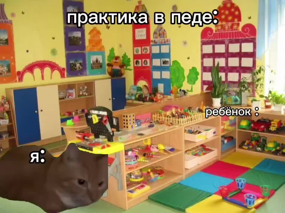 @@dinchik16