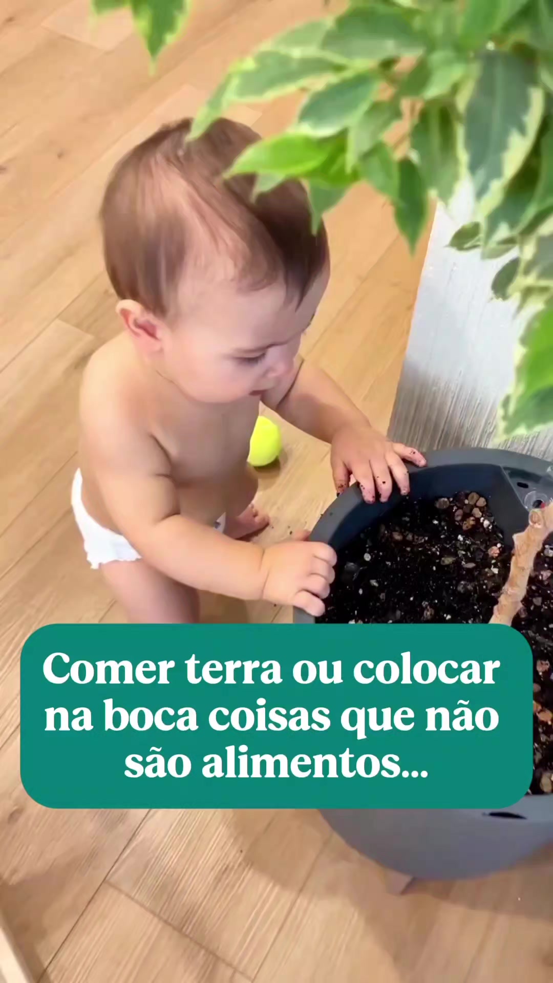 @Dra. Lu Mascarenhas Naturopata