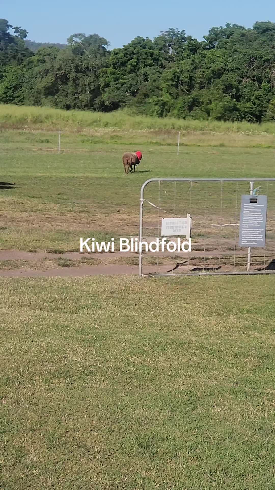 @Blackiron Camp ground