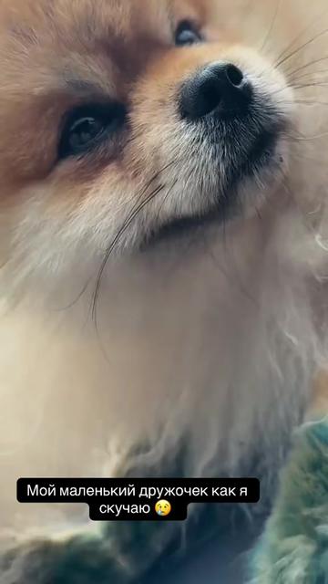 @Неважно ✅