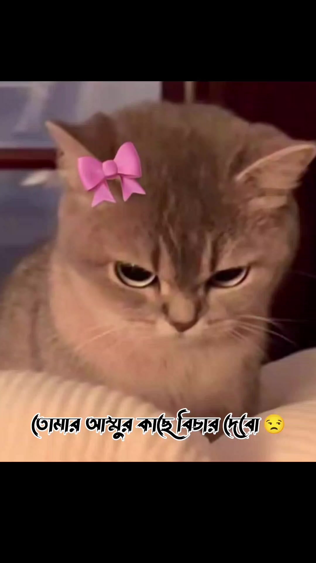 @⋆𐙚.Rajᥫ᭡kumar♡