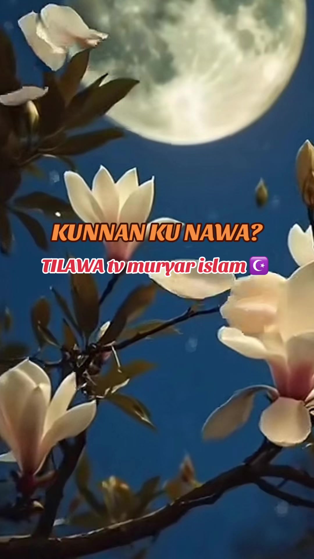 @TILAWA TV Official