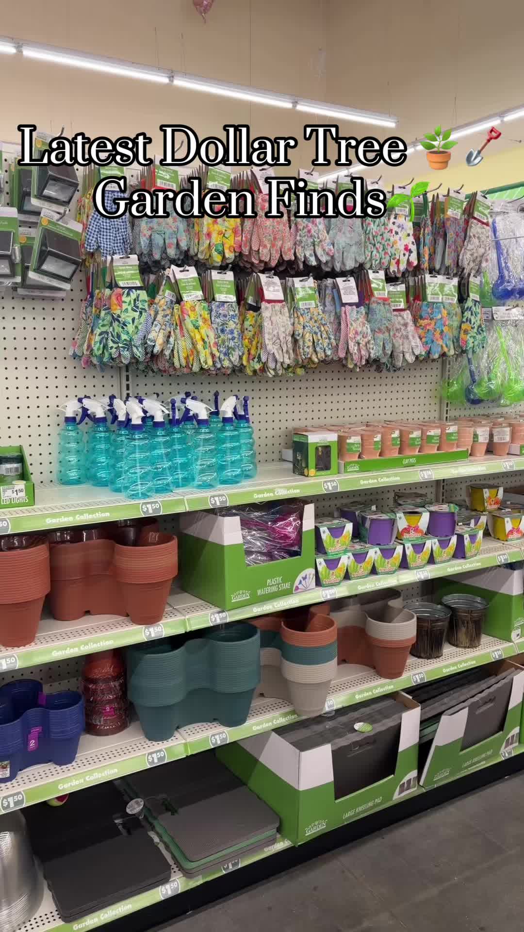 @Ashley