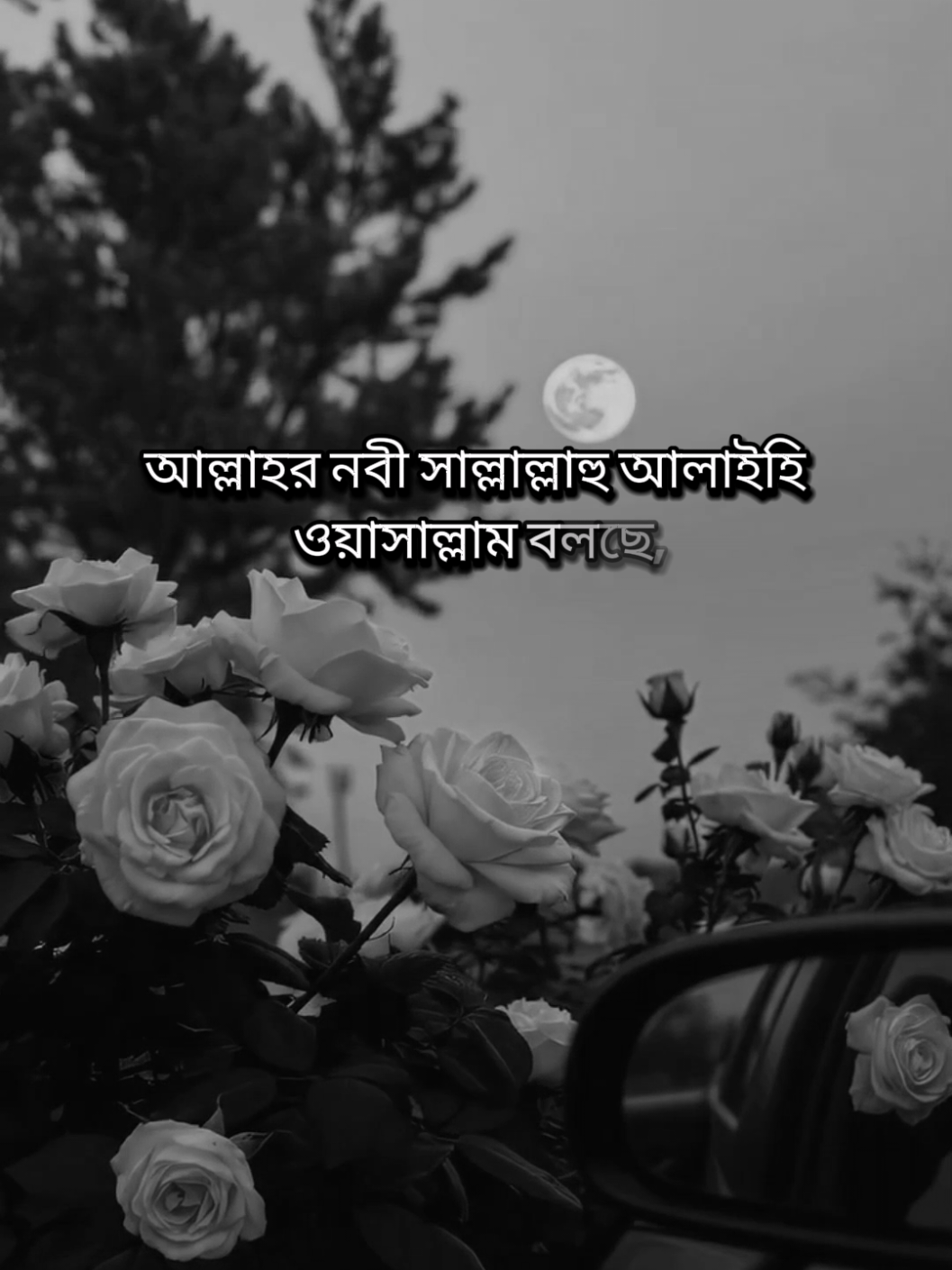 @𝑹𝒂𝒋𝒐𝒏 𝑨𝒉𝒎𝒆𝒅💫🍁