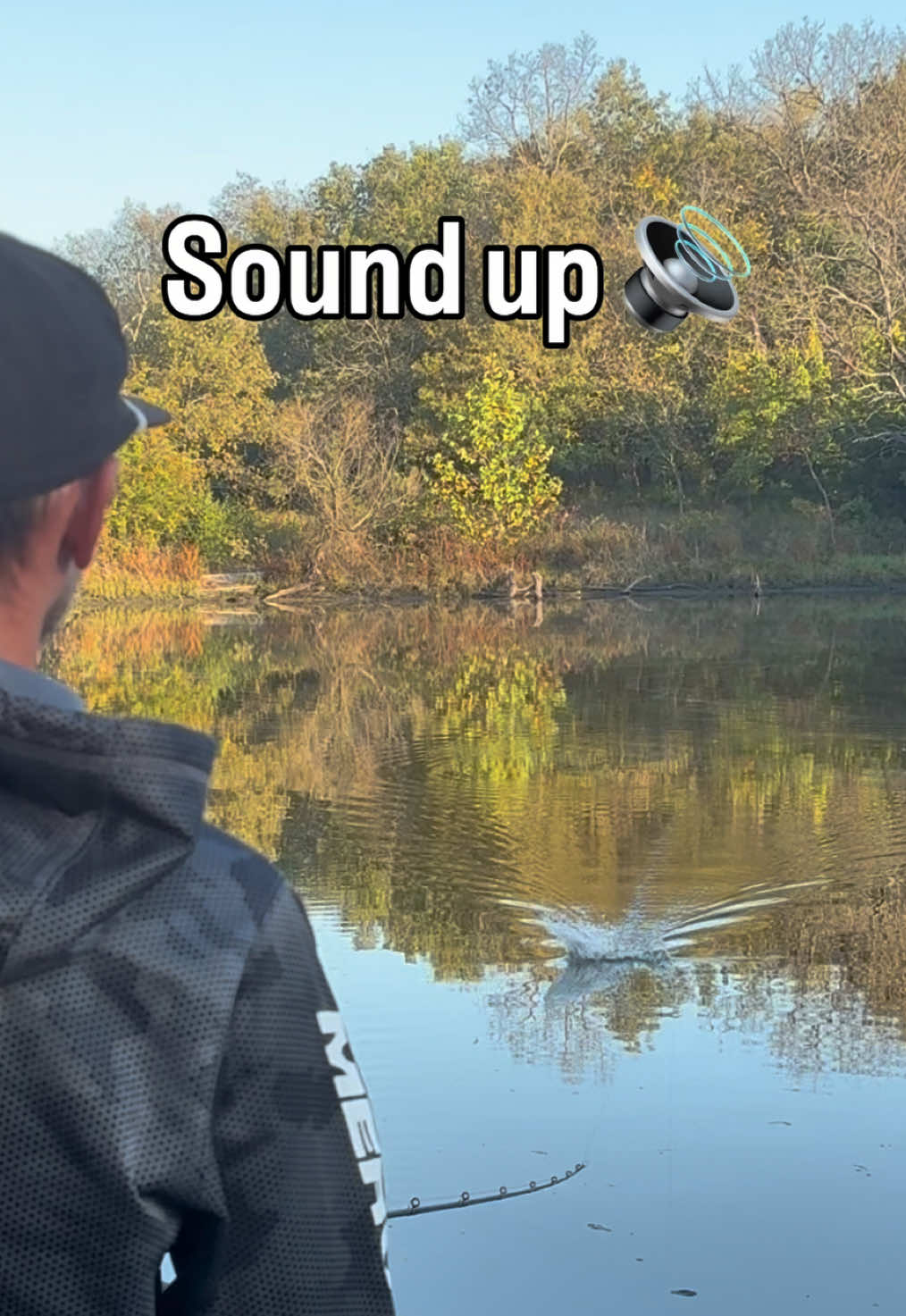 @Motion Fishing