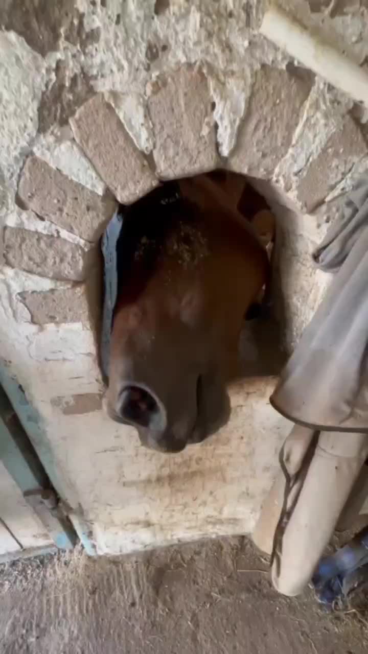 @ансамбль СОРОКА