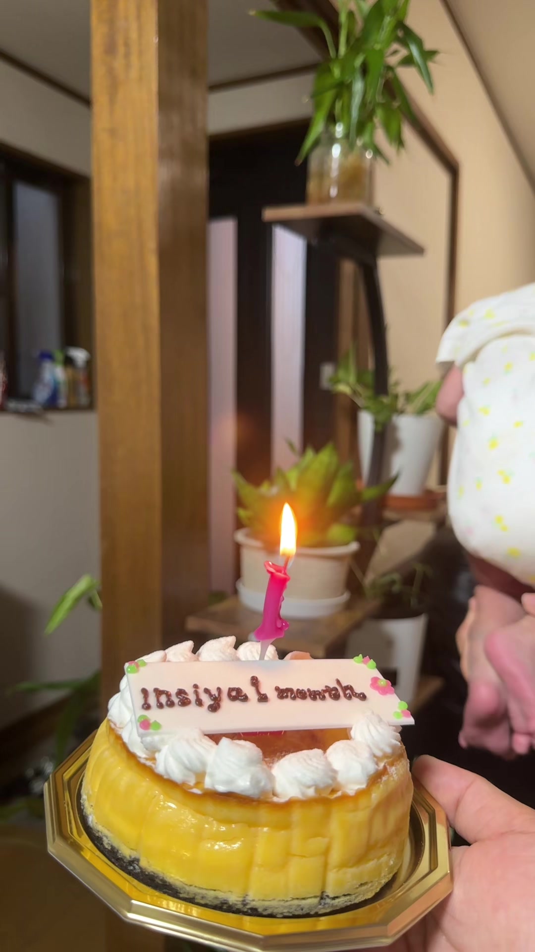 @Rukshum🥰Pun❤️Chhatkuli 🇯🇵