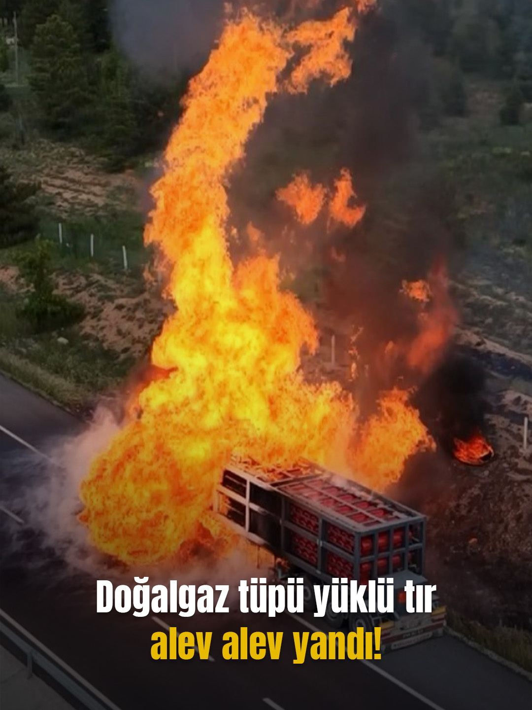 @Mynet