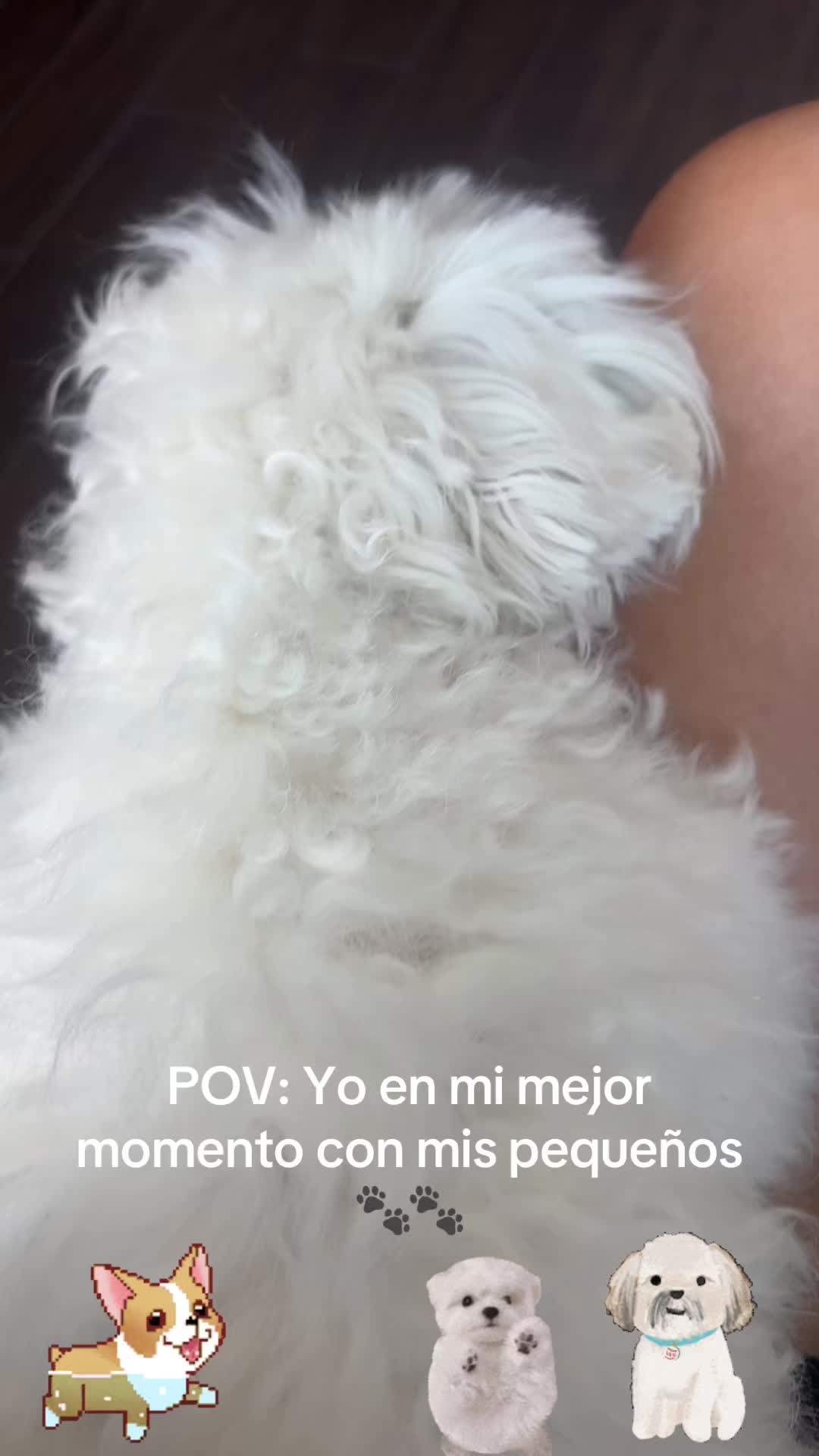 @los3huevertos